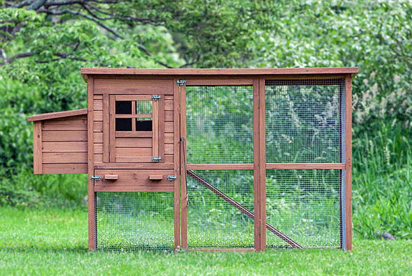 Quick Bites 4.January.2013