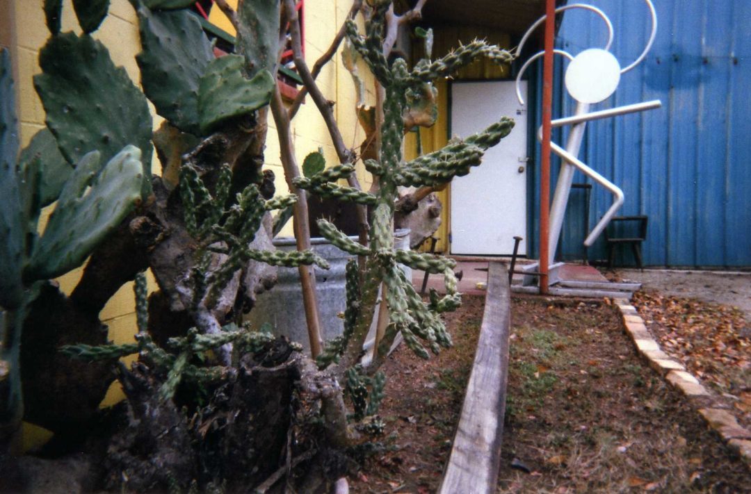 San Antonio Unfiltered: Kim Bishop