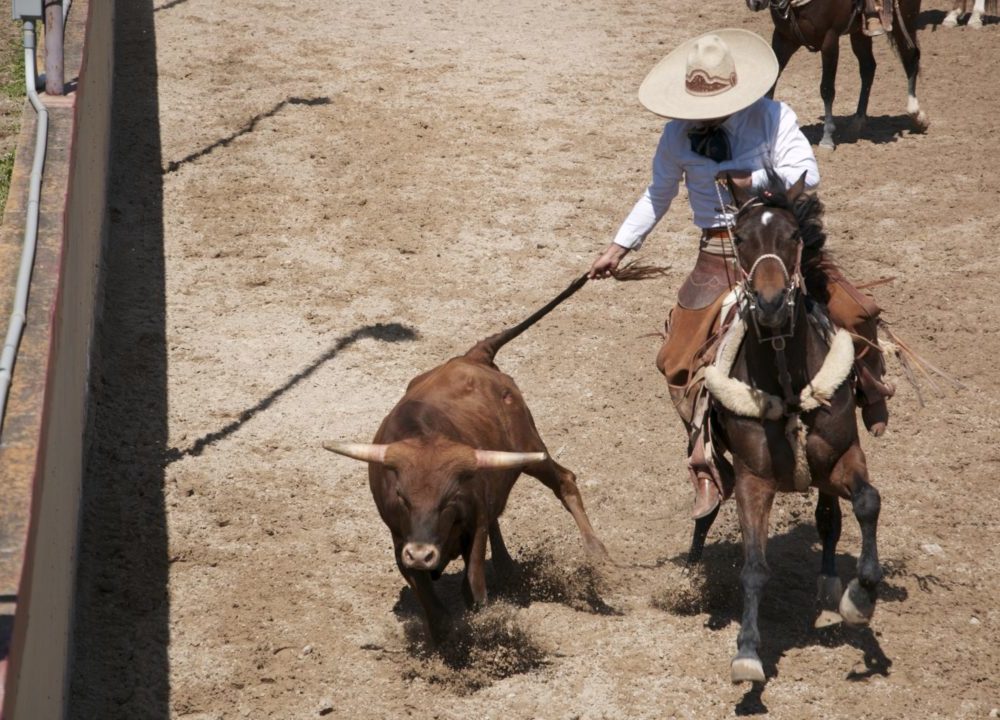 Fiesta Ropes in Tradition at a Day in Old Mexico’s Charreada
