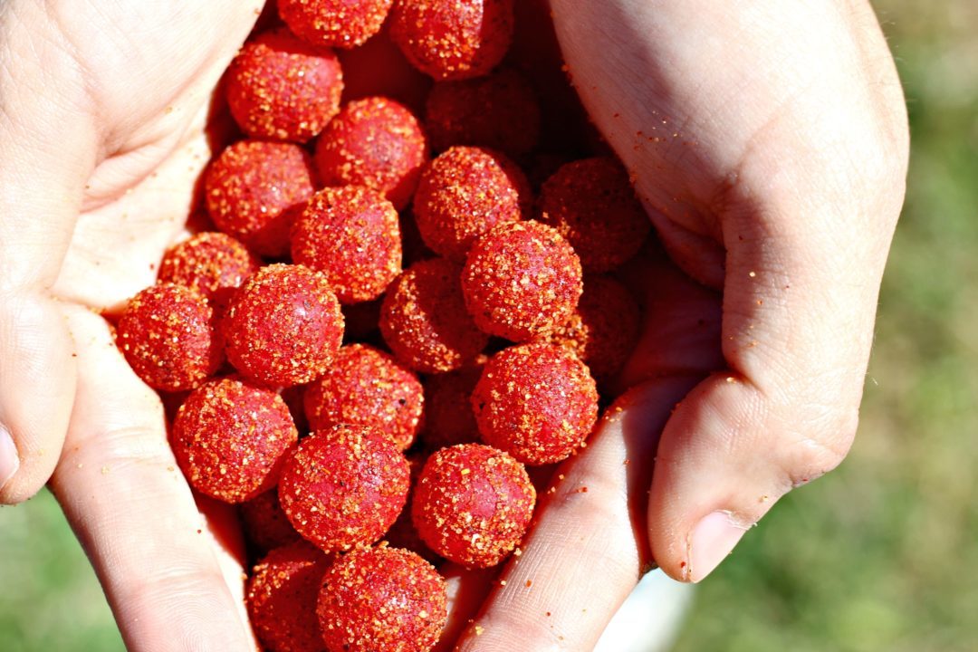 Alamo Candy Co.: Combining Sweet, Sour and Spicy Since 1991