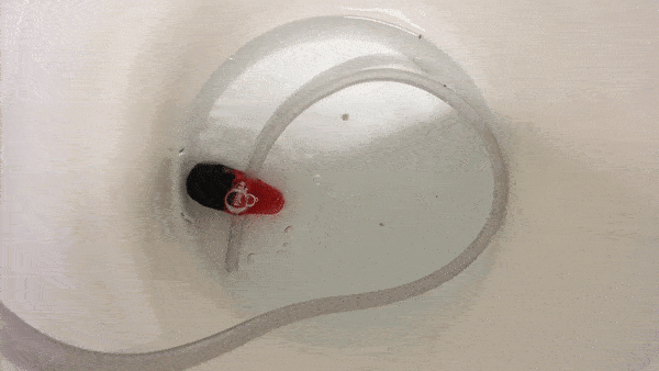 Active Fermentation Northern Brewers Plinian Legacy