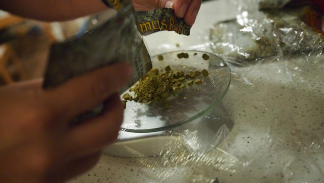 Measuring Hops Norther Brewers Plinian Legacy