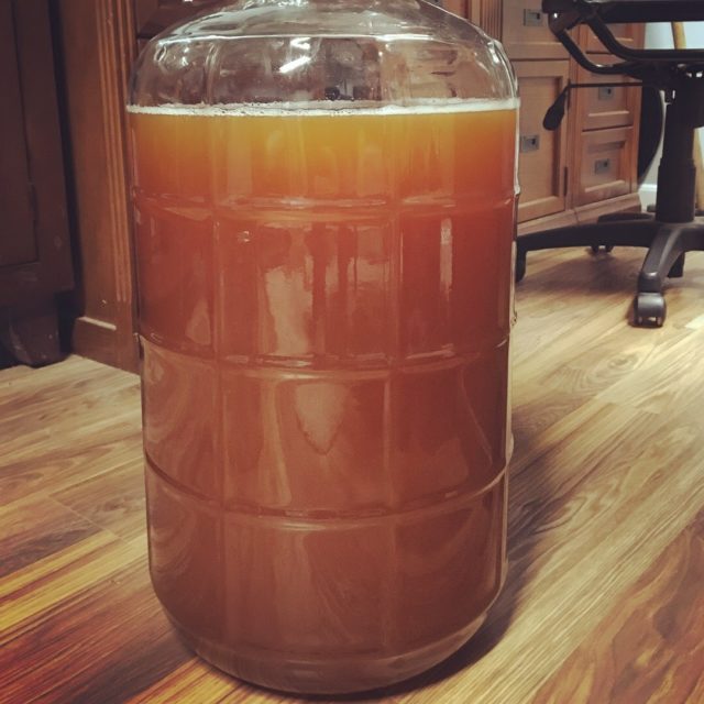 The Plinian Legacy in the secondary fermenter